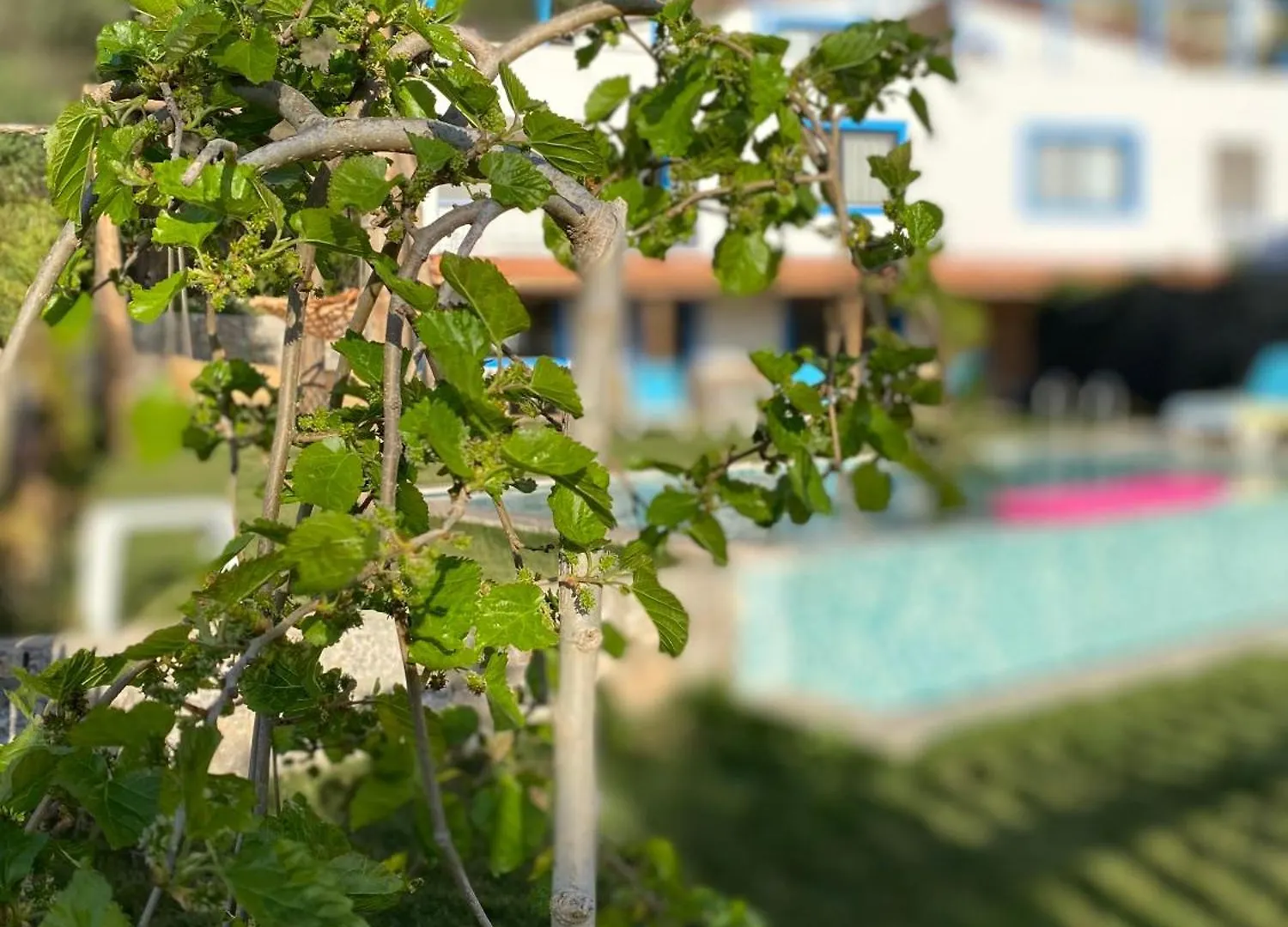 Villa Faralyus Fethiye